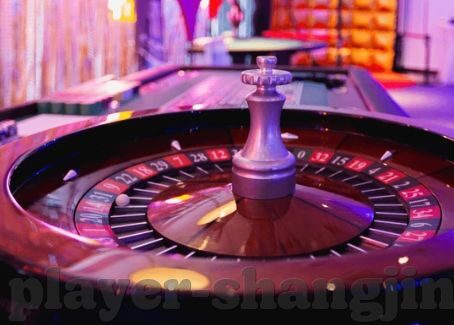 玩彩网登录地址-如何在玩彩网安全、顺利地登录并享受彩票游戏的乐趣